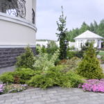 Миксбордер 9