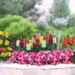 Обустройство маленьких кухонь 4